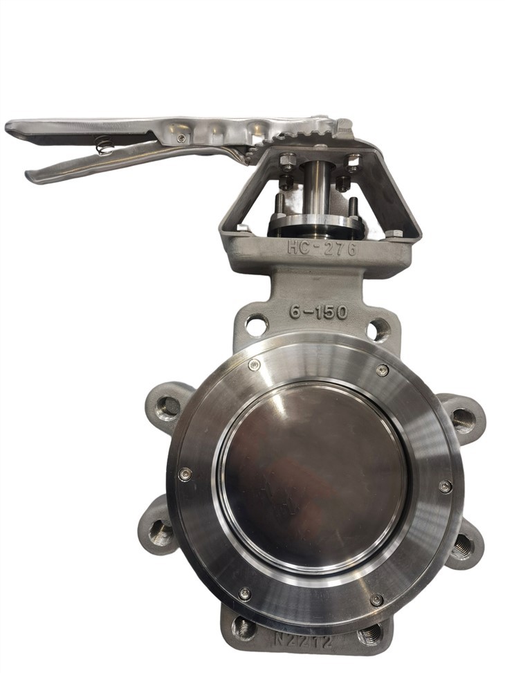 High-performance butterfly valve  (5)